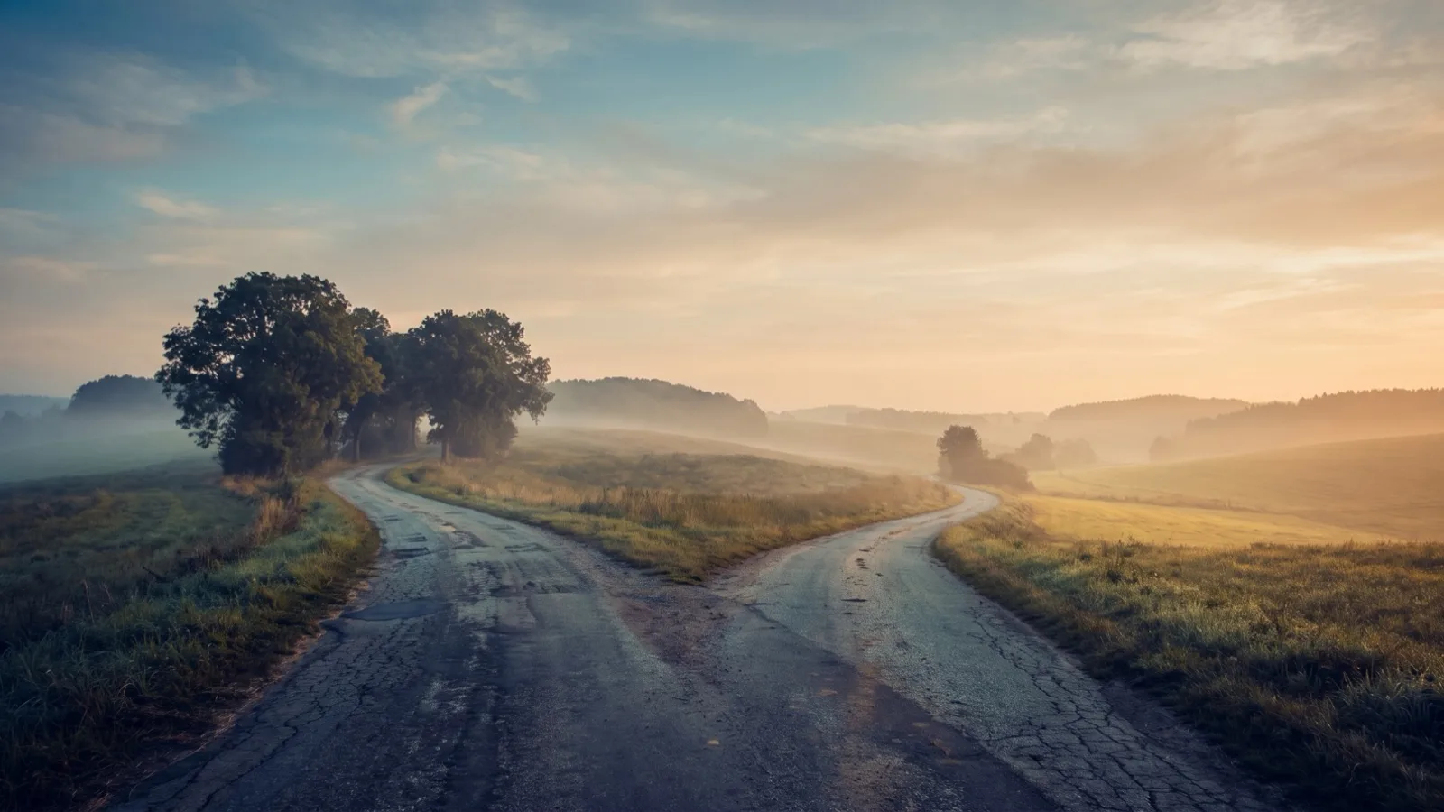 A country road forking into two directions